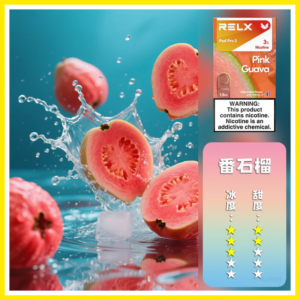 Relx悅刻 六代無限系列電子菸煙彈 Relx Infinity 2【潘石榴】
